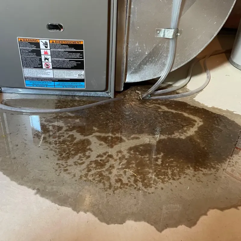 Appliance Leak Cleanup in Kapolei, HI