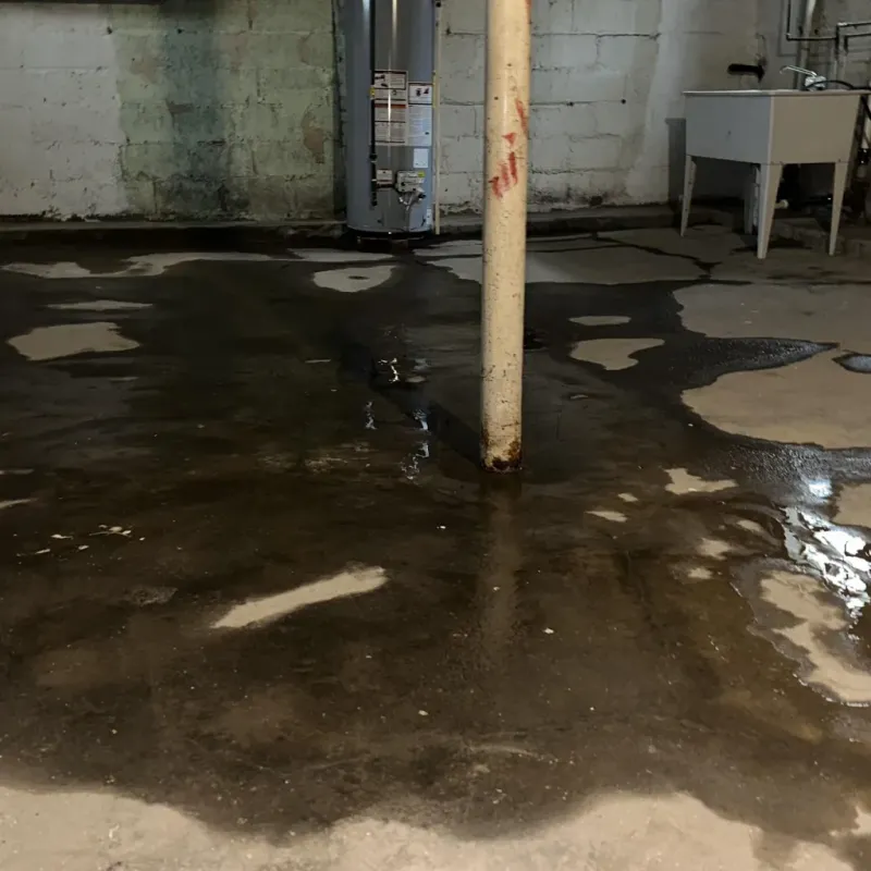 Emergency Water Extraction And Removal in Kapolei, HI
